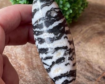 Zebra Jasper black and white Big Shiva - #92