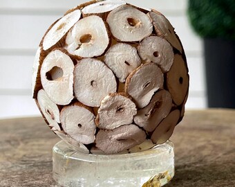 Natural Quartz with Golden Healer Crystal Small Bowl • Trinket Dish for Crystal Display or Jewelry • Quartz Sphere Stand & Holder