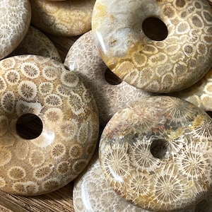 Coral Jade Fossil Donut, Fossilized coral carved bead, Crystal Sphere Stand, Coral Pendants, Gemstone Car Crystal