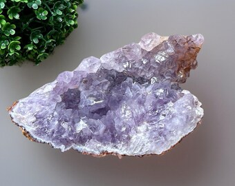 Amethyst Large Cluster Natural Geode Specimen