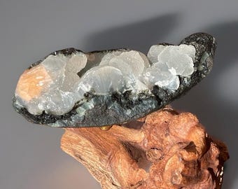 Natural Apophyllite with Stilbite on Basalt Matrix – Zeolite Crystal Cluster – Collector Mineral Specimen