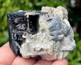 Indicolite Blue & Schorl Black Tourmaline Crystal, Blue Cookeite Coating on White Bladed Cleavelandite Quartz, Fine Pegmatite Specimen 249g