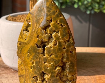 Kabamby Ocean Jasper Flame, Madagascar Jasper with Orb’s, Orbicular Ocean Jasper with Druzy