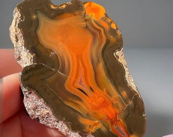 Condor Agate Geode from Argentina, Natural Agate Front Polished & Rough Specimen