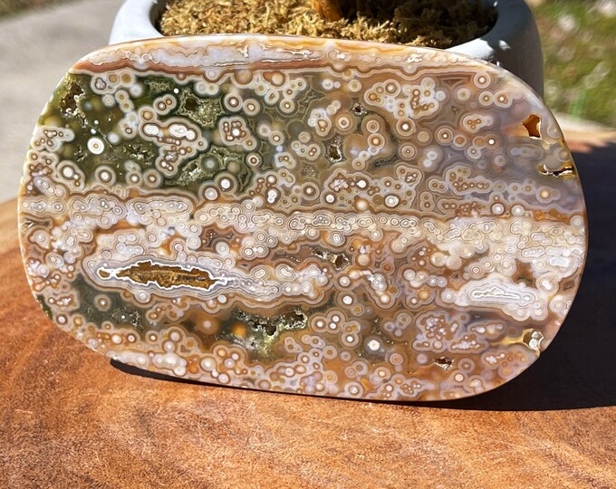 Featured listing image: 8th Vein Ocean Jasper Slab | Orbicular Jelly Jasper Slice | AAA Grade Rare Ocean Jasper