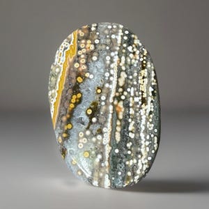 Ocean Jasper Palmstone, Rare Vein 3-4 Madagascar Orbicular Jasper, Golden Green Constellation Pattern, Collectible Crystal