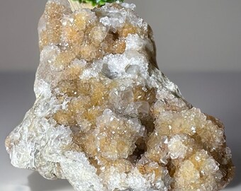 Citrine Spirit Quartz Large Sparkling Statement Piece • Golden Yellow Cactus Quartz Cluster • Spirit Quartz Specimen