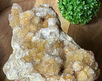 Citrine Spirit Quartz Large Sparkling Statement Piece • Golden Yellow Cactus Quartz Cluster • Spirit Quartz Specimen