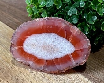 Laguna Agate Nodule Slice with Stunning Pink Orange Color and Quartz, Collectors Edition Rare México agate, #23