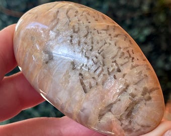 Peach Moonstone XL Palmstone with Full Silver Chatoyant Flash,  HQ Moonstone & Smoky Quartz Crystal (421)