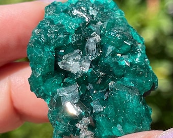 Dioptase & DT Quartz Specimen, Natural Deep Emerald Green Raw Crystal Mineral, Rare Collector's Piece, Striking Emerald Green Dioptase