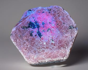 Natural Ruby Record Keeper Crystal Specimen, Untreated Ruby Rough, 878.55 ctw Hexagon Raw Corundum Black Mica Specimen