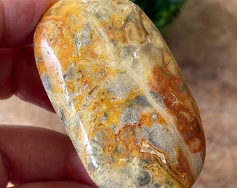 Crazy Lace Agate Palm Travel Stone Crystal -No.1