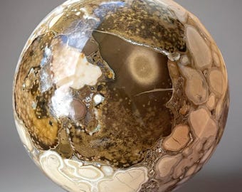 Orbicular KING COBRA JASPER Sphere with Dendtites (390)