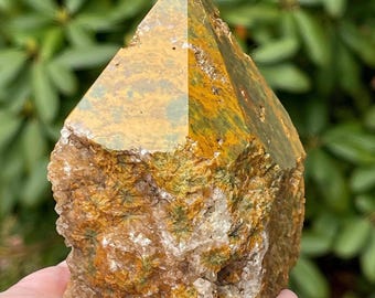 Kabamby Ocean Jasper Top Polished Point, Marovato Pocket Stone, Madagascar Orbicular Floral orb Jasper, Collectible Crystal (422)