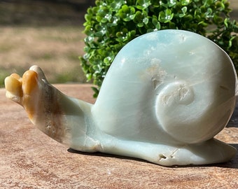Caribbean Calcite Snail Hand Carved High Quality, AAA Grade Collectors Edition Crystal Carving