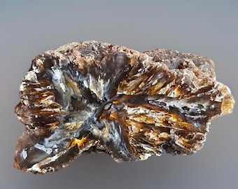 Nebraska Blue Agate Nodule: Moody Chalcedony Front Polished Collector Specimen