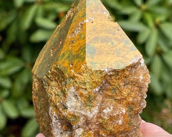 Kabamby Ocean Jasper Top Polished Point, Marovato Pocket Stone, Madagascar Orbicular Floral orb Jasper, Collectible Crystal (422)