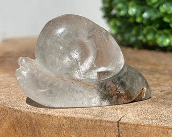 Garden Quartz Snail Hand Carved with Rainbows, High Quality Crystal Animals, #72