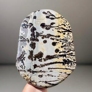 Picture Jasper STATEMENT Slab with Beautiful Scenery • Natural Stone Slab • Collectors Grade Crystal Gift #02