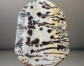 Picture Jasper STATEMENT Slab with Beautiful Scenery • Natural Stone Slab • Collectors Grade Crystal Gift #02