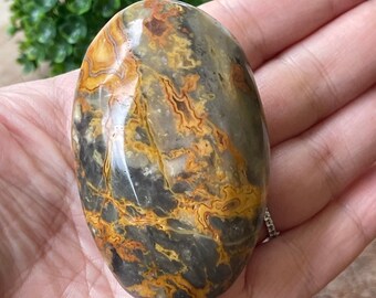 Crazy Lace Agate Palm Stone Travel Crystal, #9