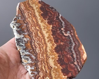 Wave Dolomite Slab from Mexico | Front Polished Scenic Display Stone Mexico