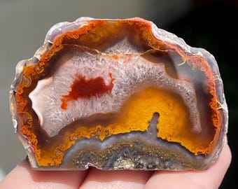 Condor Agate Geode from Argentina, Natural Agate Front Polished & Rough Specimen