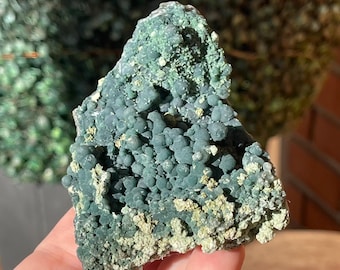 Dark Green Natural Grape Agate Large Specimen, Collectors Botryoidal Chalcedony