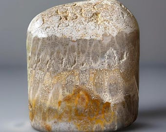 Fossil Coral Freeform • Cream & Orange Agatized Flower Coral • Natural Polished Stone Flame • Rare Crystal for Gifting Collecting