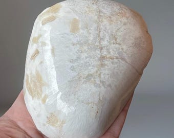 Polished & Rough Scolecite XL Specimen, Collectors Crystal From India (92)