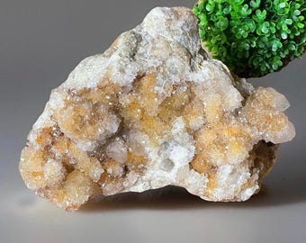 Citrine Spirit Quartz Large Sparkling Statement Piece • Golden Yellow Cactus Quartz Cluster • Spirit Quartz Specimen