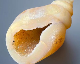 Agate Sugar Druzy Big Seashell Handcrafted Crystal Sculpture / Beach House Natural Stone Decor - #82