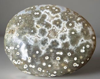 Orbicular Ocean Jasper Palmstone: Madagascar Bubble Crystal Pocket Rock (60)