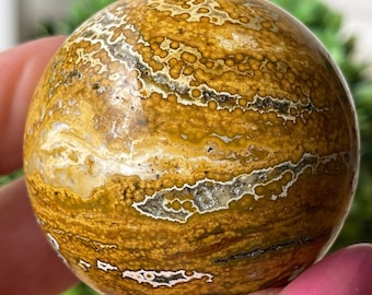 Orbicular Ocean Jasper Sphere, Green & Yellow Ocean Jasper Polished Ball, Madagascar Orbicular Jasper Crystal
