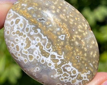 Orbicular Ocean Jasper Palmstone: Madagascar Crystal Pocket Rock (276)