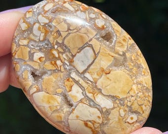 Ibis Jasper Palmstone, Brecciated Jasper Polished Crystal medallion, Pocket Rock