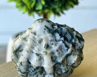 Moss Agate Big Seashell | Green Moss Agate shell | Home Decoration |Mineral specimens | ReikiHeal | Holliday Crystal Gifts