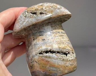 8th Vein Jelly Ocean Jasper XL Chunky Mushroom • Orbicular Jasper Zen Garden Decor • AAA Madagascar Jasper with Blue & Cream Colors - #81