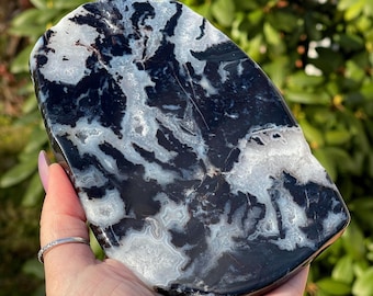 Polished Black & White Zebra Jasper Large Slab, Collectors Unique Natural Jasper from India