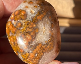 Ocean Jasper Chunky Egg, Polished Madagascar Jasper with Chocolate Orange Orbs & Creamy Yellow Flowers, Orbicular Madagascar Carving (399)