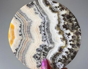 Plum Blossom XL Polished Slab - Honey Orange Calcite Round Stone - Natural Dendritic Calcite plate - Crystal gifts, home decor