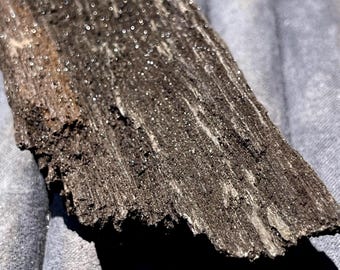 Sparkly Permineralized Fossil Druzy Wood from Zwenkau, Germany