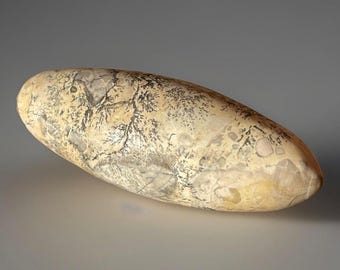 Dendritic Picture Jasper XLarge Shiva - #60