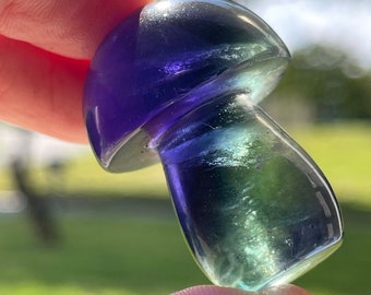 Blue Fluorite Mushroom with Rainbows , HQ Crystal Carving’s, AAA Grade Green Purple Blue Fluorite
