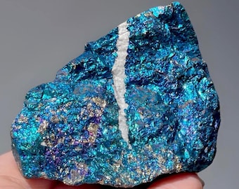 Peacock Ore Bornite from Chihuahua, Mexico: Cabinet Size