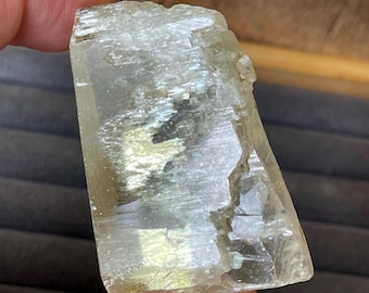 Triphane: Yellow Kunzite 323.70 ctw - Natural Gemmy Etched Spodumene - Rare Mineral Specimen, 64.74 grams