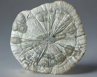 Pyrite Sun from Illinois, Formed around 350 million years ago, Pyrite Mineral Specimen, Miners Dollar, Natural Sparkling Pyrite Sun