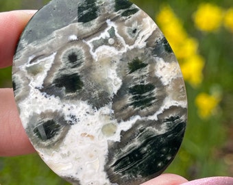 1st Vein Ocean Jasper Flat Palm Stone, Madagascar Ocean Jasper Orbicular Old Stock pocket stone, #88