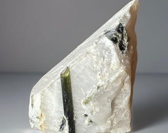 Green Tourmaline Crystal in Albite Quartz Matrix • Natural Elbaite Specimen • Collector Grade Pegmatite Mineral • Raw Crystal Display Rock